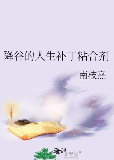 降谷的人生补丁粘合剂