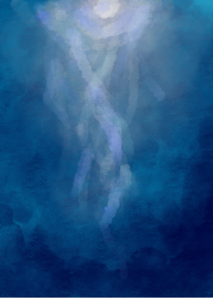 失忆后我成了大佬的月白光