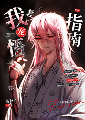 我妻宠悟指南