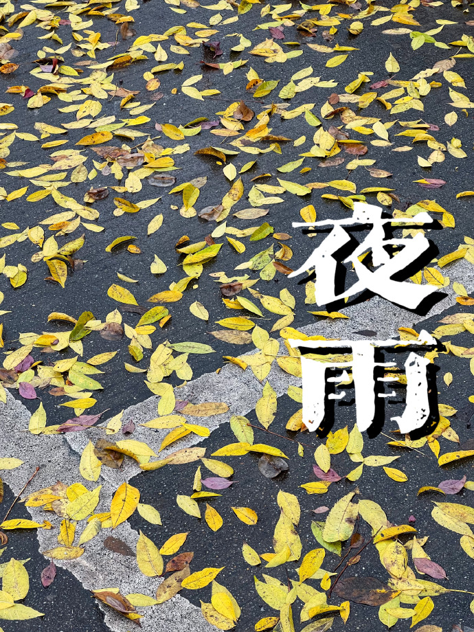 夜雨寄北唐诗朗诵